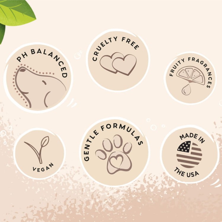 OBRAZKOWE PLUSY PRODUKTU PETHEAD