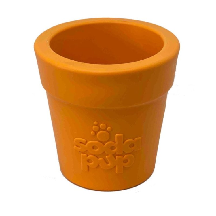 flower-pot-orange-doniczka-na-jedzenie-dla-psa.jpg