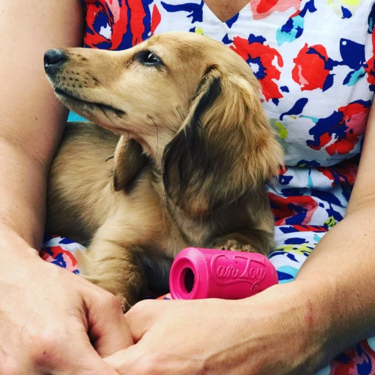 puppy-can-toy-medium-pink (2).jpg