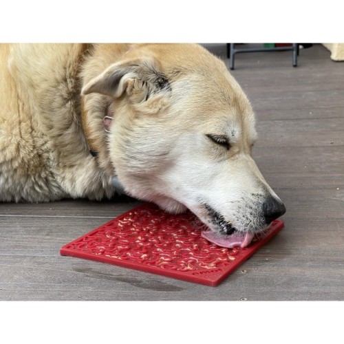 sp-emat-bones-large-red (1).jpg