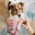 41-800x800.webp