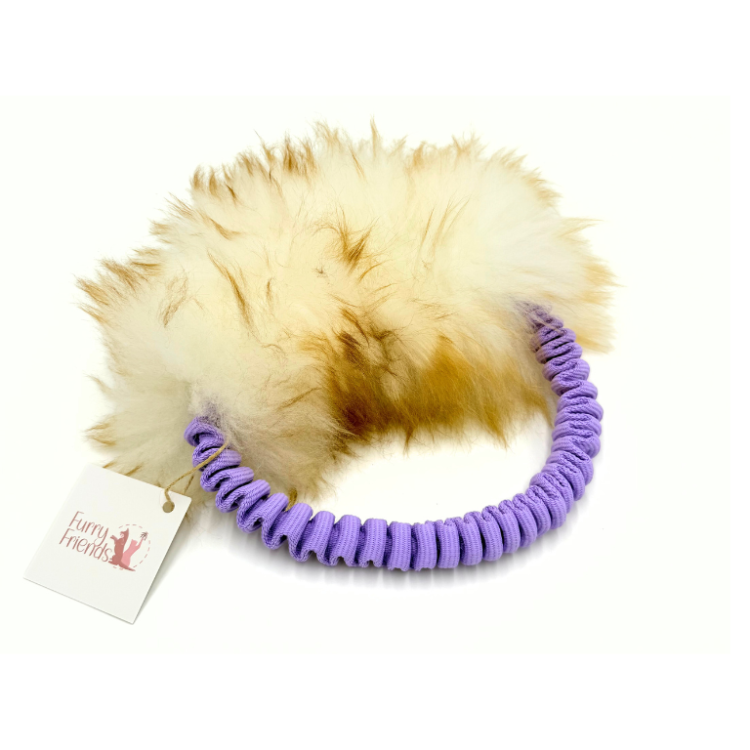 ring (1).png