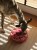 productGfx_1307_750_750.webp