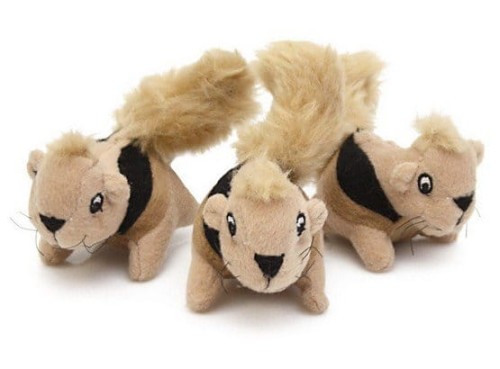 piszczace wiewiórki.jpg