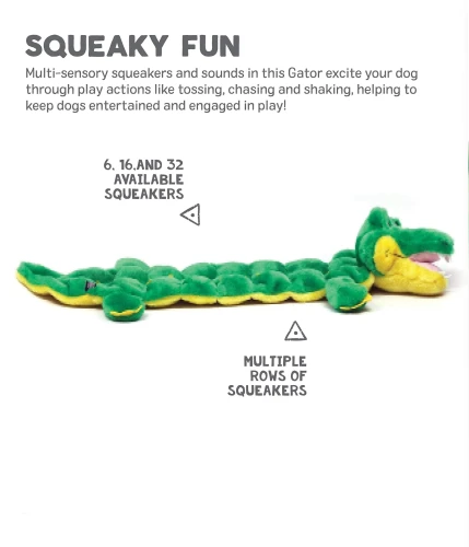 aligator.webp