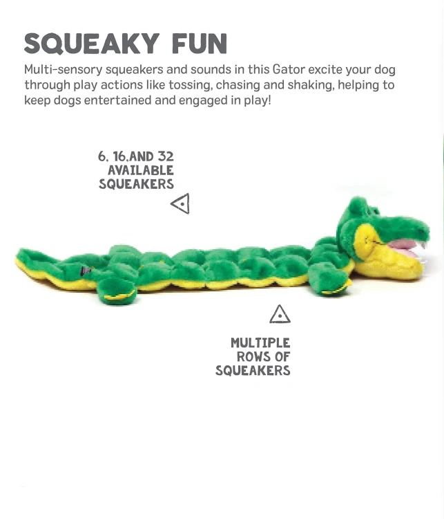 aligator.webp