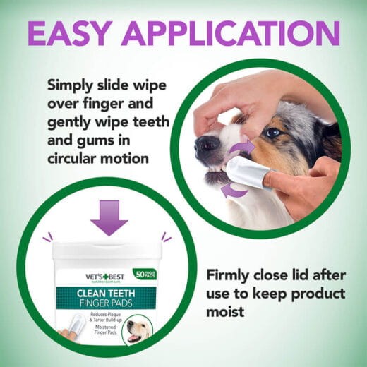 easy application.jpg