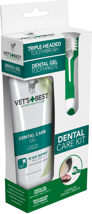 _Dental_Care_Kit_.png